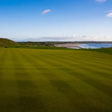 Wilde Ballybunion